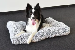 Flamingo Coussin Snoozzy Rectangulaire Gris/noir 120x80x17cm -Magasin De Fournitures Pour Animaux Et Chiens De Qualité 02b85646dde52c6d7638ac66ec090ce4203430de691d159de28b40c05e2dab43 scaled