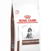 Royal Canin Gastro Intestinal Junior Pour Chien 10kg