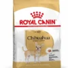 Royal Canin Chihuahua Adult Pour Chien 3kg