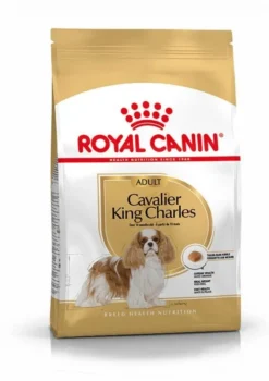 Royal Canin Cavalier King Charles Adult Pour Chien 7,5kg
