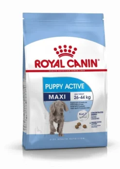 Royal Canin Maxi Puppy Active Pour Chien 15kg