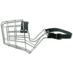 Museau En Métal - Pit Bull Terrier Femelle