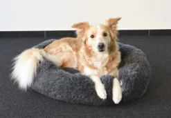 Flamingo Panier Krems Rond Gris 70cm -Magasin De Fournitures Pour Animaux Et Chiens De Qualité 2b35af8c6265e8517b23a60a9a122e1b2f4b50f5a9c25a7daa9e2d5118cff5a5 scaled