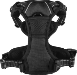 Flamingo Harnais Balou Noir S 40-55cm 20mm -Magasin De Fournitures Pour Animaux Et Chiens De Qualité 2f476e76954ab5143d7fd93e9d87a062bb97c02414519f07d13df6bb230da0e4