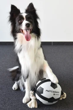 Flamingo Jouet Chien Matchball Balle De Foot 12,5cm 6 Flamingo Jouet Chien Matchball Balle De Foot 12,5cm -Magasin De Fournitures Pour Animaux Et Chiens De Qualité 40ceb270f0ae1d84ac34a9c72537280e20e86552eaf2ba2e45995c5537755e53 scaled