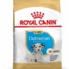 Royal Canin Dalmatien Chiot 12kg