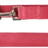 Flamingo Laisse D'Entrainement Ziggi Rouge Cerise 250cm25mm
