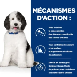 Hill's Prescription Diet C/D Multicare Boîtes Pour Chien Poulet Et Légumes - 12 X 354g -Magasin De Fournitures Pour Animaux Et Chiens De Qualité 52742021324 2 FR