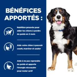 Hill's Prescription Diet Metabolic + Mobility Pour Chien Au Thon Et Au Légumes 12x354 10 Hill's Prescription Diet Metabolic + Mobility Pour Chien Au Thon Et Au Légumes 12x354 -Magasin De Fournitures Pour Animaux Et Chiens De Qualité 52742021669 3 FR