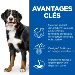 Hill's Mature Youthful Vitality Large Breed Poulet 14kg 9 Hill's Mature Youthful Vitality Large Breed Poulet 14kg -Magasin De Fournitures Pour Animaux Et Chiens De Qualité 52742025964 3 science plan senior vitaity chien large croquettes poulet