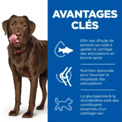 Hill's Science Plan Adult Healthy Mobility Croquettes Pour Grand Chien Au Poulet 14 Kg -Magasin De Fournitures Pour Animaux Et Chiens De Qualité 52742026015 3 science plan healthy mobility chien adulte large croquettes poulet