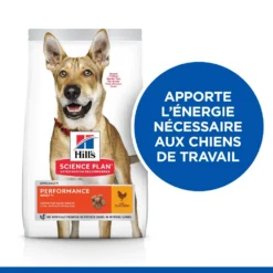 Hill's Hill’s Science Plan Adult Performance Poulet 14kg -Magasin De Fournitures Pour Animaux Et Chiens De Qualité 52742026114 2 science plan performance chien adulte croquettes poulet