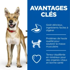 Hill's Hill’s Science Plan Adult Performance Poulet 14kg -Magasin De Fournitures Pour Animaux Et Chiens De Qualité 52742026114 3 science plan performance chien adulte croquettes poulet.jpg