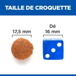 Hill's Science Plan No Grain Adult Large Breed Croquettes Sans Céréales Pour Chien Adulte De Grande Race Au Poulet - 14kg -Magasin De Fournitures Pour Animaux Et Chiens De Qualité 52742037233 5 science plan chien adult large no grain croquettes poulet