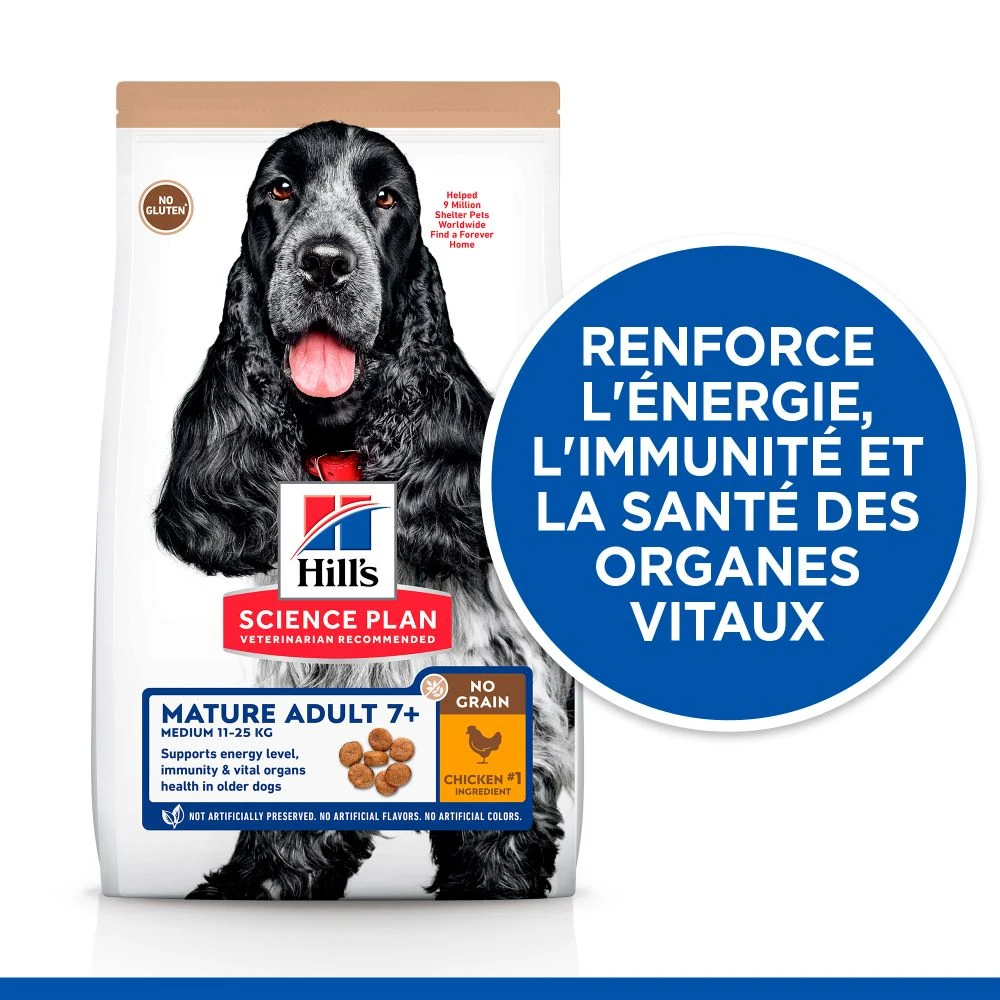 Hill's Science Plan No Grain Mature Croquettes Sans Céréales Pour Chien Âgé Au Poulet 2 Hill's Science Plan No Grain Mature Croquettes Sans Céréales Pour Chien Âgé Au Poulet – Image 2
