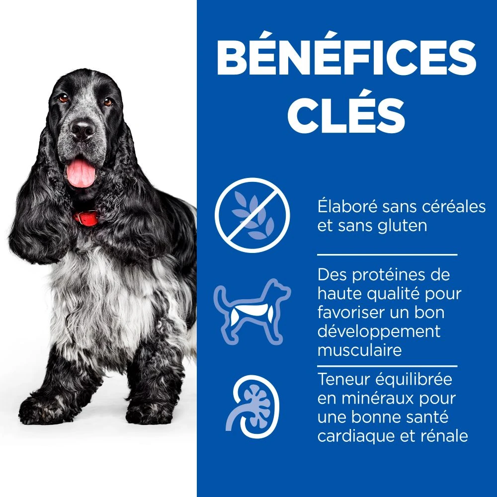 Hill's Science Plan No Grain Mature Croquettes Sans Céréales Pour Chien Âgé Au Poulet 4 Hill's Science Plan No Grain Mature Croquettes Sans Céréales Pour Chien Âgé Au Poulet – Image 4