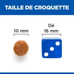 Hill's Science Plan No Grain Mature Croquettes Sans Céréales Pour Chien Âgé Au Poulet 10 Hill's Science Plan No Grain Mature Croquettes Sans Céréales Pour Chien Âgé Au Poulet -Magasin De Fournitures Pour Animaux Et Chiens De Qualité 52742037271 5 science plan chien mature medium no grain croquettes poulet