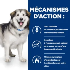 Hill's Prescription Diet C/d Multicare + Metabolic Croquettes Pour Chien 12Kg -Magasin De Fournitures Pour Animaux Et Chiens De Qualité 52742037394 2 FR 1
