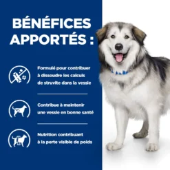 Hill's Prescription Diet C/d Multicare + Metabolic Croquettes Pour Chien 12Kg -Magasin De Fournitures Pour Animaux Et Chiens De Qualité 52742037394 3 FR 1