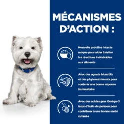 Hill's Prescription Diet Derm Complete Mini Croquettes Pour Petit Chien - 1 Kg 9 Hill's Prescription Diet Derm Complete Mini Croquettes Pour Petit Chien - 1 Kg -Magasin De Fournitures Pour Animaux Et Chiens De Qualité 52742038797 2 FR 1