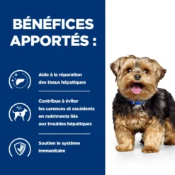 Hill's Prescription Diet L/D Liver Croquettes Pour Chien 10 Kg 10 Hill's Prescription Diet L/D Liver Croquettes Pour Chien 10 Kg -Magasin De Fournitures Pour Animaux Et Chiens De Qualité 52742042459 3 FR 2