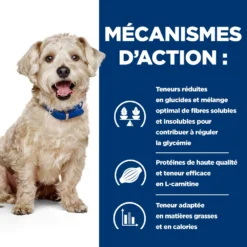 Hill's Prescription Diet W/D Diabete Croquettes Pour Chien Au Poulet 4 Kg -Magasin De Fournitures Pour Animaux Et Chiens De Qualité 52742043128 2 FR