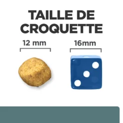 Hill's Presription Diet W/D Diabetes Croquettes Pour Chien Au Poulet 10 Kg 11 Hill's Presription Diet W/D Diabetes Croquettes Pour Chien Au Poulet 10 Kg -Magasin De Fournitures Pour Animaux Et Chiens De Qualité 52742043128 4 FR 1