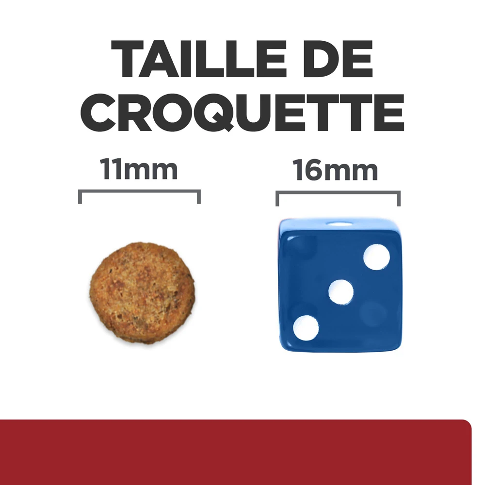 Hill's Prescription Diet I/D Digestive Croquettes Pour Chien Et Chiot Au Poulet 1,5 Kg 5 Hill's Prescription Diet I/D Digestive Croquettes Pour Chien Et Chiot Au Poulet 1,5 Kg – Image 5