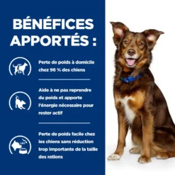 Hill's Prescription Diet Metabolic Croquettes Pour Chien À L'agneau Et Au Riz -12Kg -Magasin De Fournitures Pour Animaux Et Chiens De Qualité 52742044538 3 FR 1