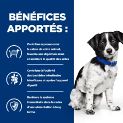 Hill's Prescription Diet I/d Stress Digestive Mini Croquettes Pour Petit Chien Au Poulet 1 Kg -Magasin De Fournitures Pour Animaux Et Chiens De Qualité 52742045009 3 FR 1