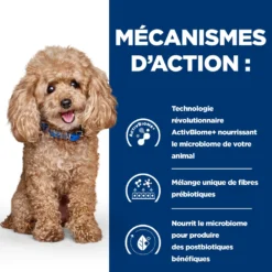Hill's Prescription Diet Gastrointestinal Biome Mini Croquettes Pour Petit Chien Au Poulet 3 Kg -Magasin De Fournitures Pour Animaux Et Chiens De Qualité 52742045597 2 FR 1