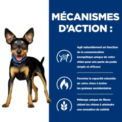 Hill's Prescription Diet Metabolic Croquettes Pour Petit Chien Au Poulet 9kg -Magasin De Fournitures Pour Animaux Et Chiens De Qualité 52742047188 2 FR 3