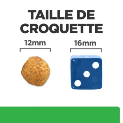Hill's Prescription Diet R/d Weight Loss Croquettes Pour Chien Au Poulet 10 Kg -Magasin De Fournitures Pour Animaux Et Chiens De Qualité 52742047256 4 FR 1