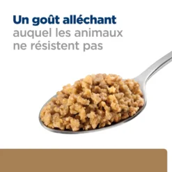 Hill's Prescription Diet J/D Nourriture Pour Chien à L'agneau 12x370g -Magasin De Fournitures Pour Animaux Et Chiens De Qualité 52742055244 4 FR