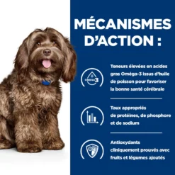 Hill's Prescription Diet B/D Brain Ageing Pour Chien Poulet 3kg -Magasin De Fournitures Pour Animaux Et Chiens De Qualité 52742864105 2 FR 1