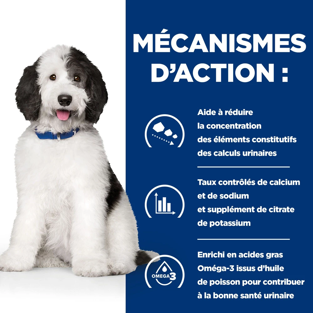 Hill's Prescription Diet C/d Multicare Croquettes Pour Chien Au Poulet 12 Kg 3 Hill's Prescription Diet C/d Multicare Croquettes Pour Chien Au Poulet 12 Kg – Image 3