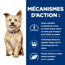 Hill's Prescription Diet K/D Kidney Care Croquettes Pour Chien Au Poulet - 12Kg 9 Hill's Prescription Diet K/D Kidney Care Croquettes Pour Chien Au Poulet - 12Kg -Magasin De Fournitures Pour Animaux Et Chiens De Qualité 52742918204 2 FR 1