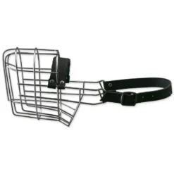 Museau En Métal - Collie Femelle