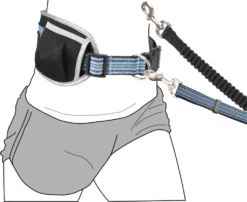 Flamingo Laisse Pour Le Jogging + Ceinture Ventrale Rono Bleu Laisse 180-250cm / Ceinture 79,5-140cm -Magasin De Fournitures Pour Animaux Et Chiens De Qualité 73d3c513dcee7e4597c8312693f0ad1c821c6f51a7df08b1fc88babbd2d67f8e