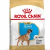 Royal Canin Boxer Chiot Pour Chien 12kg