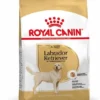 Royal Canin Labrador Retriever Adult Pour Chien 12kg