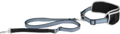 Flamingo Laisse Pour Le Jogging + Ceinture Ventrale Rono Bleu Laisse 180-250cm / Ceinture 79,5-140cm