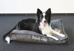Flamingo Coussin Dream Away Rectangulaire+rebord+fermeture Eclair Gris 80x60x10cm -Magasin De Fournitures Pour Animaux Et Chiens De Qualité 8b20af957cd0e9159fdaec088098026b839b1c665fc0ece7ca837051d3f8cebf scaled