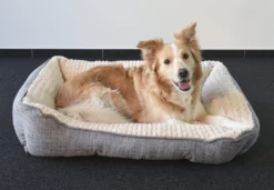 Flamingo Panier Pour Chien Zupo Rectangulaire Gris 90x65x25cm -Magasin De Fournitures Pour Animaux Et Chiens De Qualité 99b8da2ca52e00418c6ee1afd6b8fb3f19b4e81818d430d62e4894bfcde106db scaled