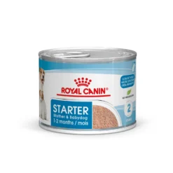 Royal Canin Starter Mousse 12x190g