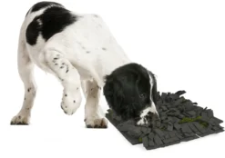 Flamingo Tapis à Renifler Amigo Rectangulaire + Fermeture Eclair Gris/vert 40x50cm -Magasin De Fournitures Pour Animaux Et Chiens De Qualité a775a03a816b5a96e49c58cd3ecbc26540a84574cd16c3ba95abf6994148d0f2 scaled