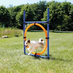 Trixie Fun Agility Anneau -Magasin De Fournitures Pour Animaux Et Chiens De Qualité b79a4466414a4da2954e391c8207a65bb94e1716621690dc570aa14f387fe2a5
