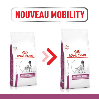 Royal Canin Mobility Support Pour Chien 12kg 4 Royal Canin Mobility Support Pour Chien 12kg – Image 4