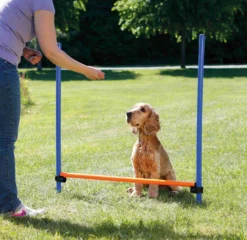 Trixie Obstacle Fun Agility -Magasin De Fournitures Pour Animaux Et Chiens De Qualité c1eb09e3666625338db3d0ddde7dcf7e26f8ad1f96df37beb3e340b6763bcae1