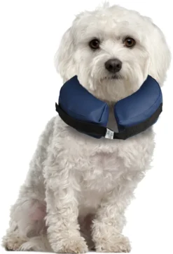 Flamingo Collier Gonflable Pour Chiens Gofi S -Magasin De Fournitures Pour Animaux Et Chiens De Qualité c76564a084433e164fdda469521c2f8b95e5c504b608d8280deab069721e7d8e